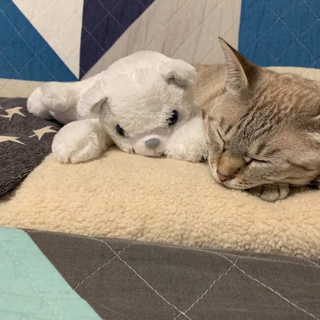 ∞あや∞のカバー写真