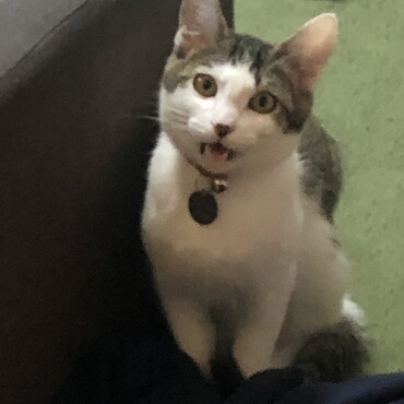 の写真