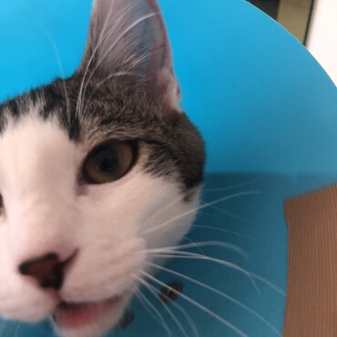 の写真