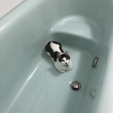 の写真