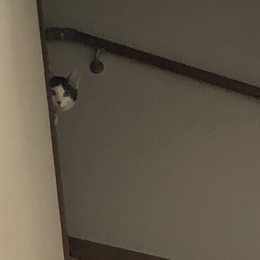の写真