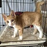 ボクちゃん、って呼んでます (=^x^=) サムネイル3