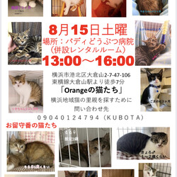 保護猫の里親会