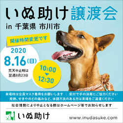 いぬ助け譲渡会 in 千葉県市川市 8月16日(日)