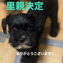 可愛がってあげてほしい…