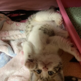 キュートな女の子！