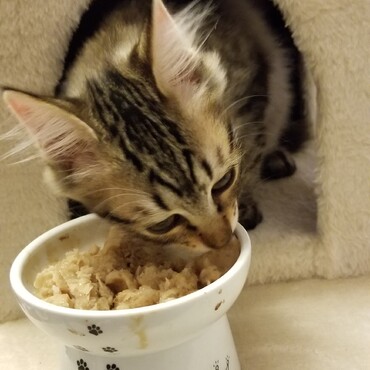 食いしん坊だよ
