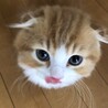 くろ・むぎママさん