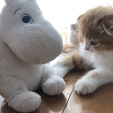 ムーミンと一緒