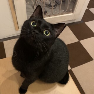 甘えん坊のママちゃん♪