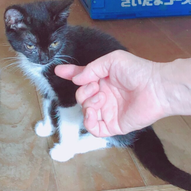 方八のカバー写真
