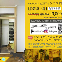 第23回　とだニャン保護猫里親会 サムネイル3