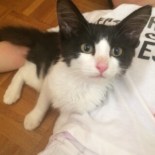 新しい家族が見つかったよ！！