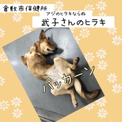 「倉敷の武子さんのヒラキ→卒業！」サムネイル1