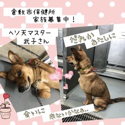 「倉敷の武子さんのヒラキ→卒業！」サムネイル3