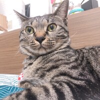 当当