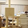 今日は親子そろってまったりです