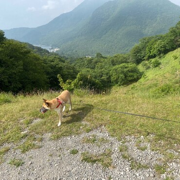 の写真
