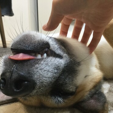 たまらん…