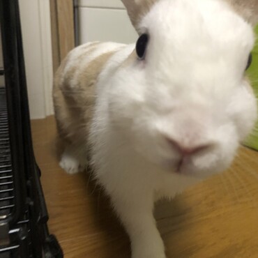 の写真