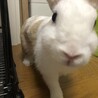 の写真