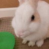 こんな感じです！