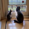 の写真
