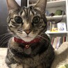 クル