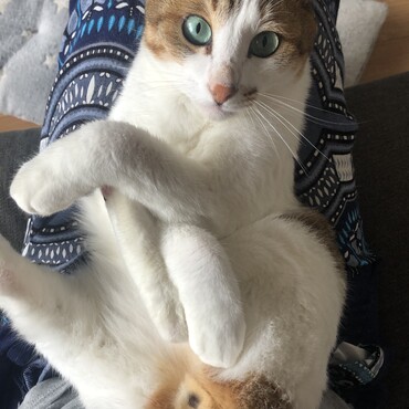 の写真