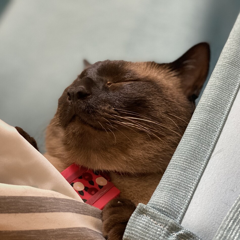 つなかんのカバー写真