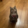 ぽんず