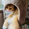 れお