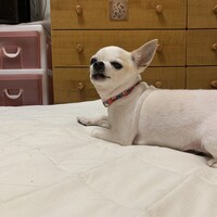そうすけ