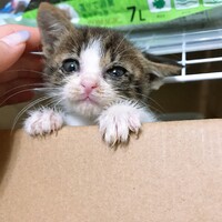 NO NAME