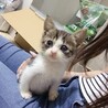 の写真