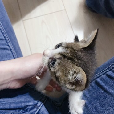 の写真