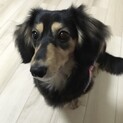 可愛い顔で元気いっぱいの4さいの女の子です