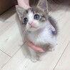 の写真