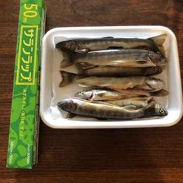 川魚も釣ります