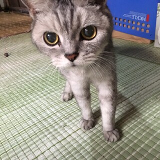 お母さんが脳出血で倒れ戻れません。