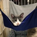 とっても愛くるしくて可愛いソラくん