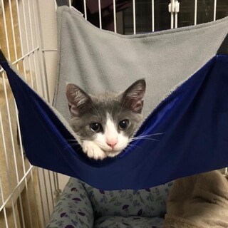 とっても愛くるしくて可愛いソラくん