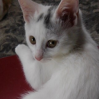 おっとりと可愛い女の子♪