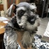 ただいま