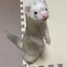 あまあゆ