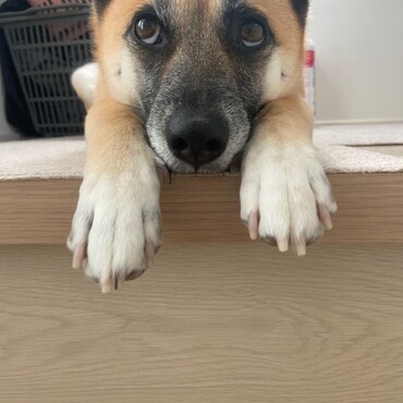 の写真
