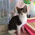甘えん坊抱っこ大好きロン君