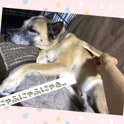 「おかーさんのフォークマッサージ」サムネイル3