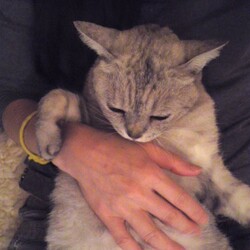 「可愛いあの子」サムネイル2