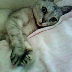 「可愛いあの子」サムネイル3